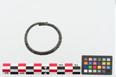 Foto von Bronzeperlarmreif (NHMW-PRAE-025035)